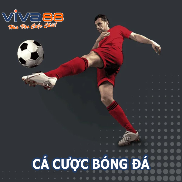 Cá cược bóng đá Viva88