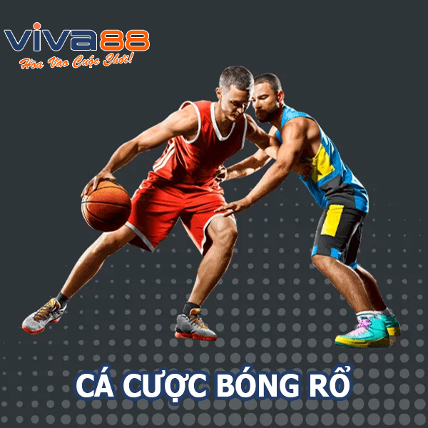 Cá cược bóng rổ Viva88